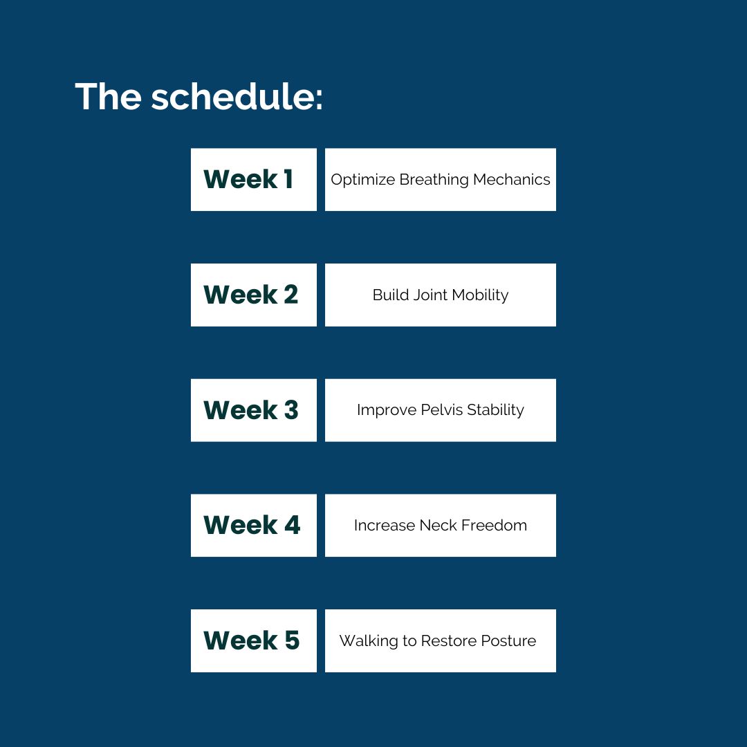 An image of The Hidden Strength Program Schedule